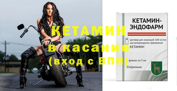 шишки Вяземский