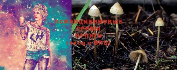молекула духа Вязники